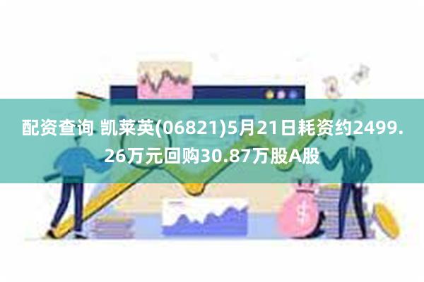 配资查询 凯莱英(06821)5月21日耗资约2499.26万元回购30.87万股A股