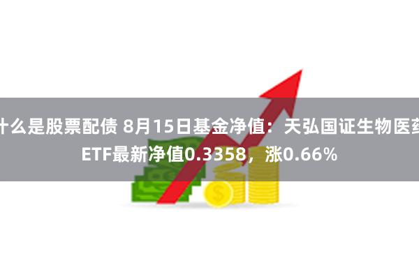 什么是股票配债 8月15日基金净值：天弘国证生物医药ETF最新净值0.3358，涨0.66%