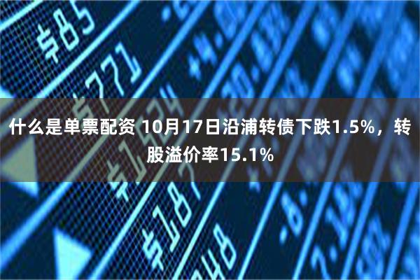 什么是单票配资 10月17日沿浦转债下跌1.5%，转股溢价率15.1%