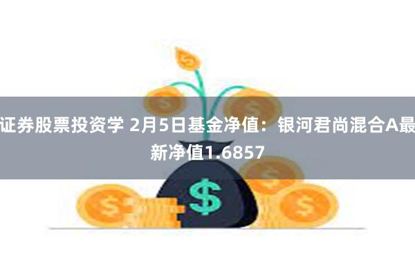 证券股票投资学 2月5日基金净值：银河君尚混合A最新净值1.6857