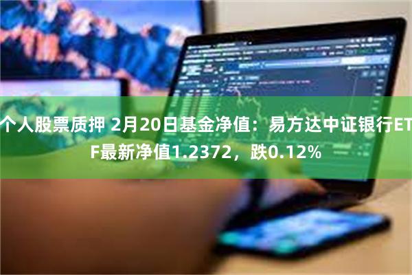 个人股票质押 2月20日基金净值：易方达中证银行ETF最新净值1.2372，跌0.12%